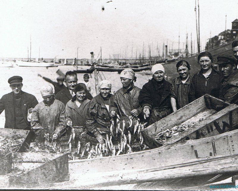 Fischverarbeitung